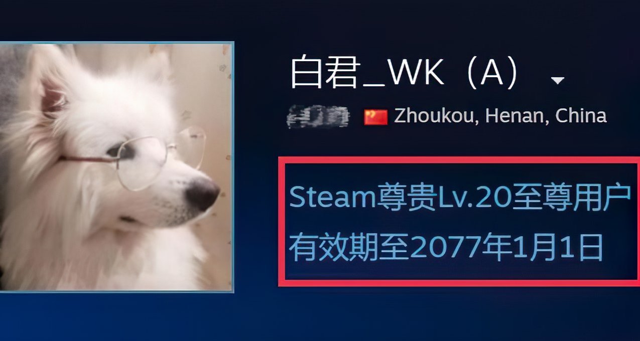 自定義Steam標籤教程！教你顯示Steam至尊會員！
