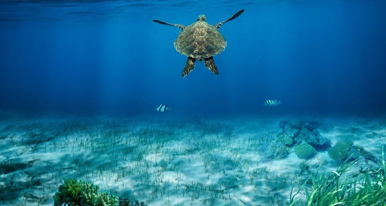 我愛白嫖系列(十五)