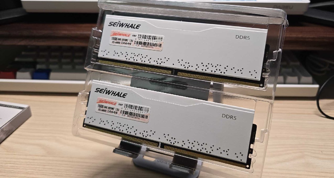 新一代“卷王”！實戰梟鯨審判者DDR5內存 5600 32G內存超頻！