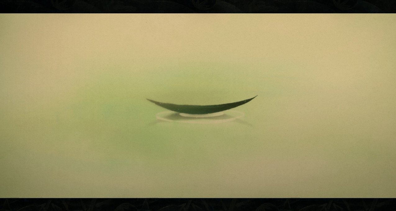 【黑神话：悟空】金池之业——六根不净、业火难平