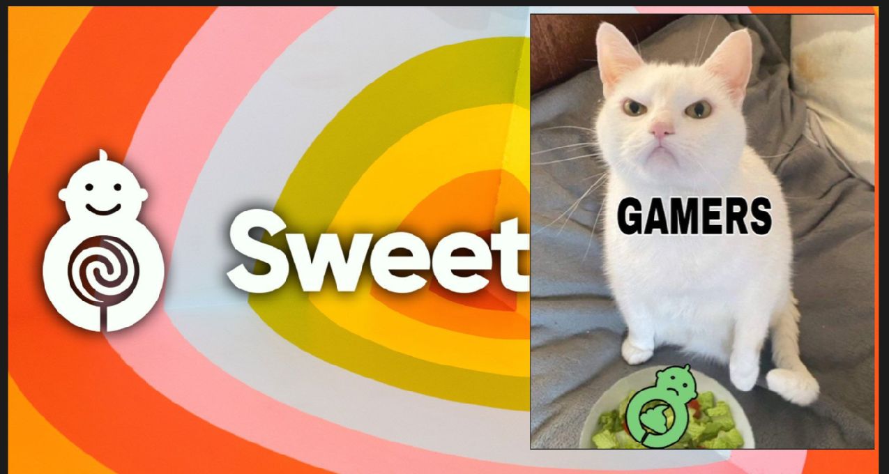 前SweetBaby员工因工作经历遭遇求职困境