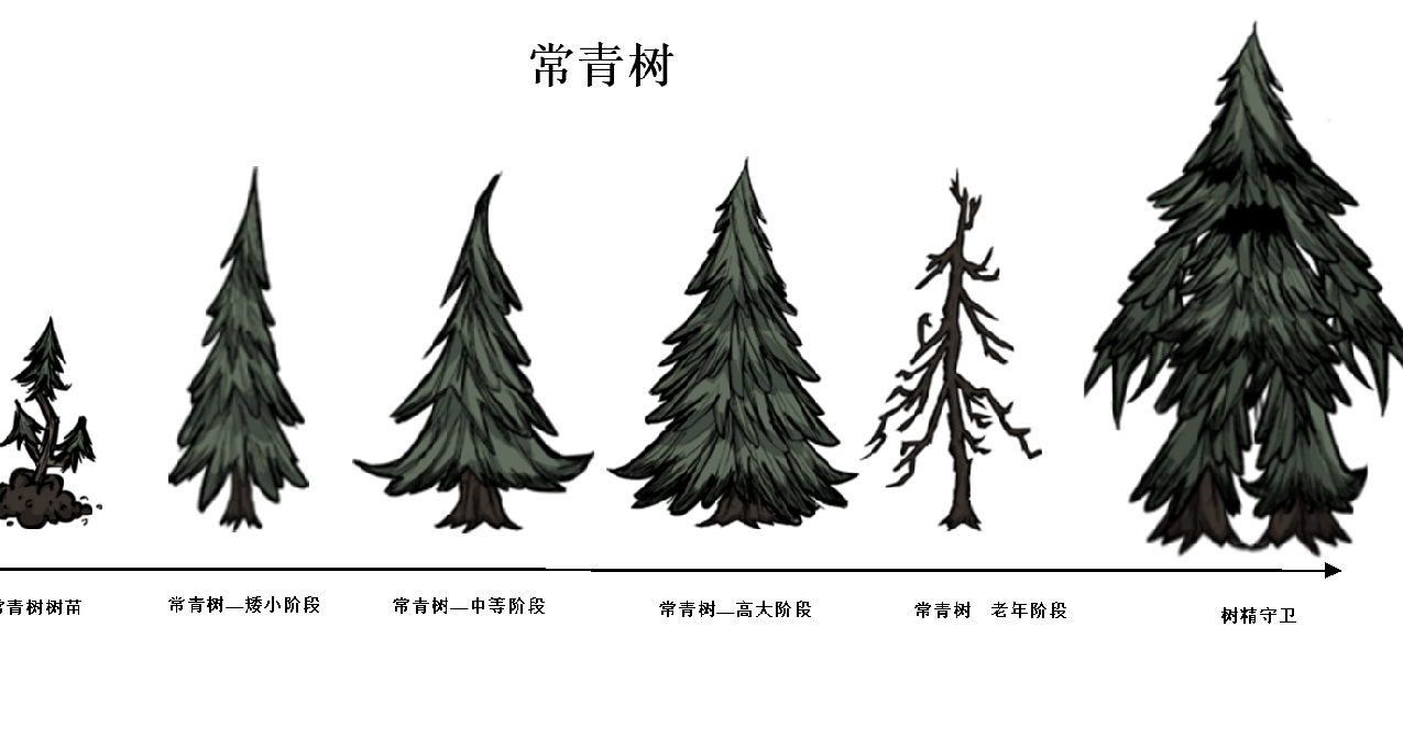 饥荒里的树