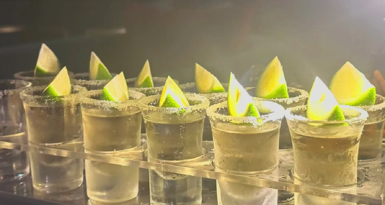 有人喜歡有人惡—六大基酒—龍舌蘭