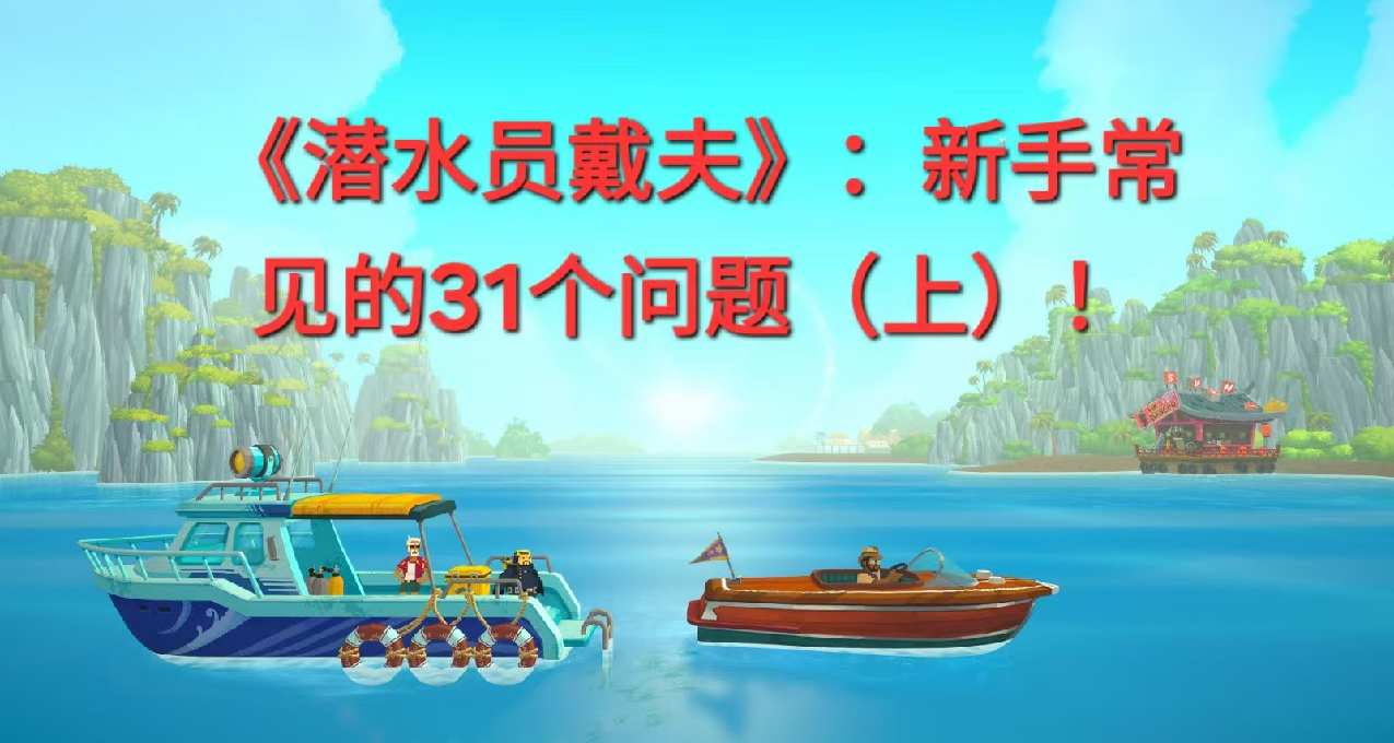 《潜水员戴夫》：新手常见的31个问题（上）！