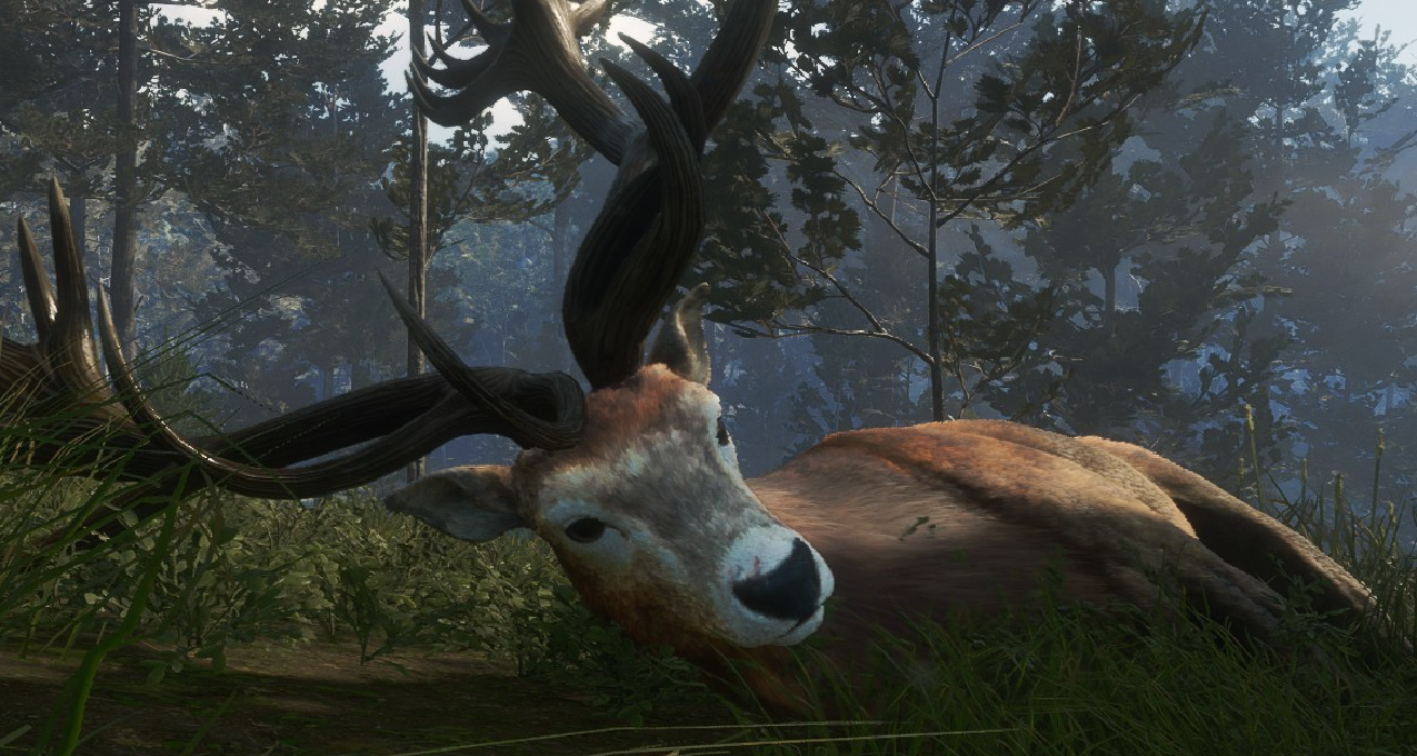 獵人:荒野的召喚值7塊嗎？關於荒野的召喚你應該知道的一些事