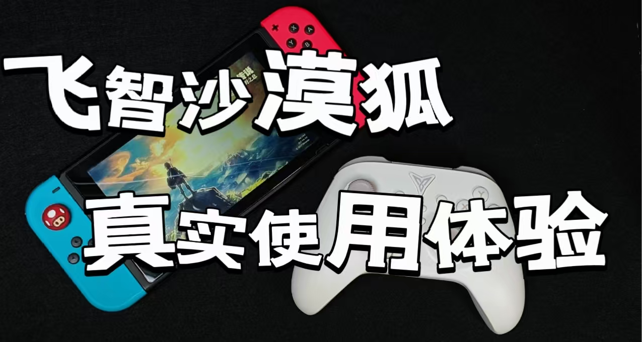 售價99，飛智沙漠狐到底是不是一支百元內好手柄？