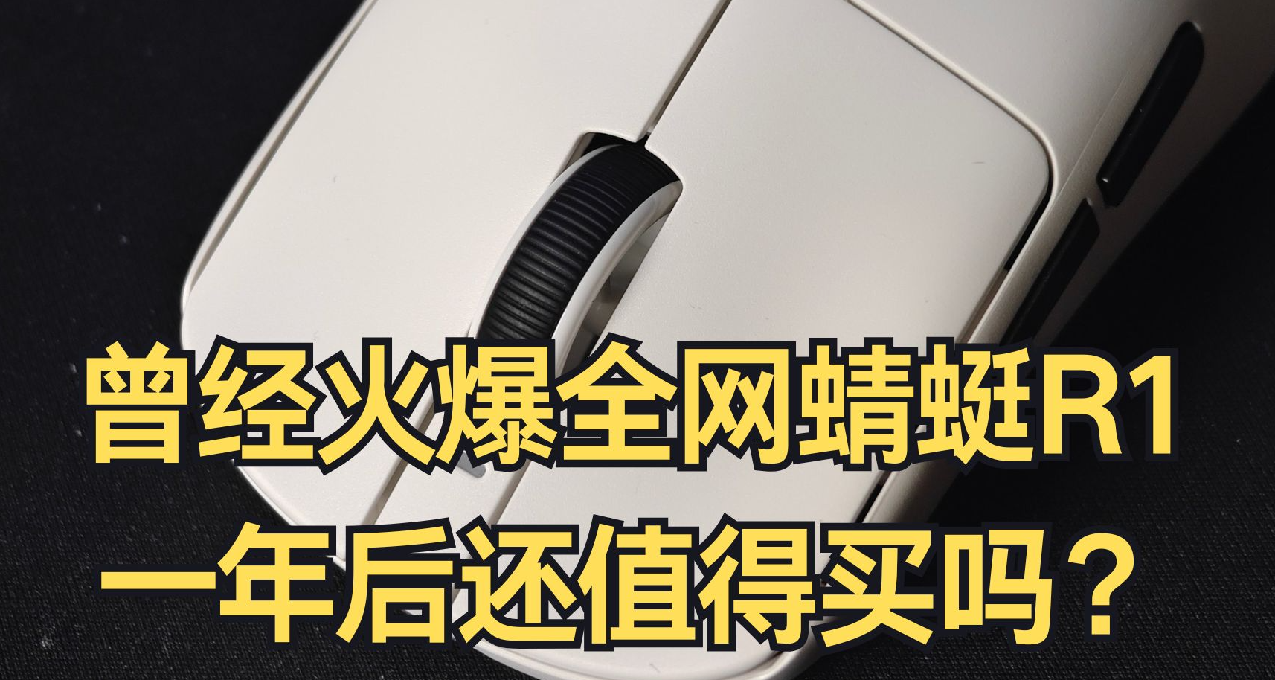 曾经火爆全网蜻蜓R1，一年后还值得买吗？