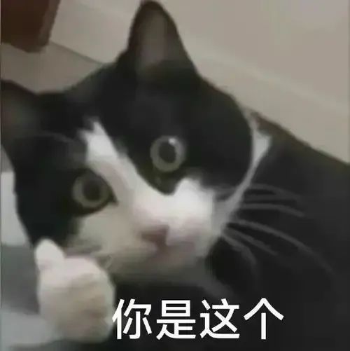 小孩哥怒放2025最贵炮仗，人怎么能闯这么大祸？！