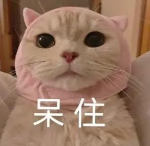 突遭全網下架！