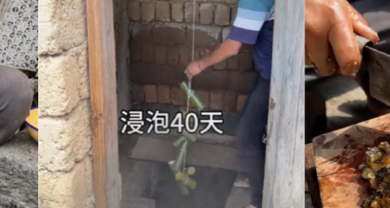 从“蛤蟆汉堡”到“人中黄”汤，“暗黑李子柒”吃了哪些猎奇玩意