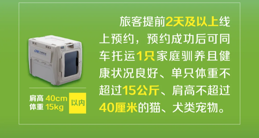 12306 炸锅了！宠物托运终于上线，铲屎官狂喜！🐾🚄