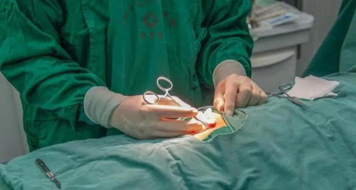 國內首例“戒酒芯片”臨牀應用成功：生物電干預酒精成癮治療