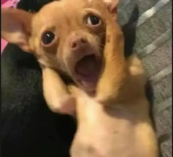 微信