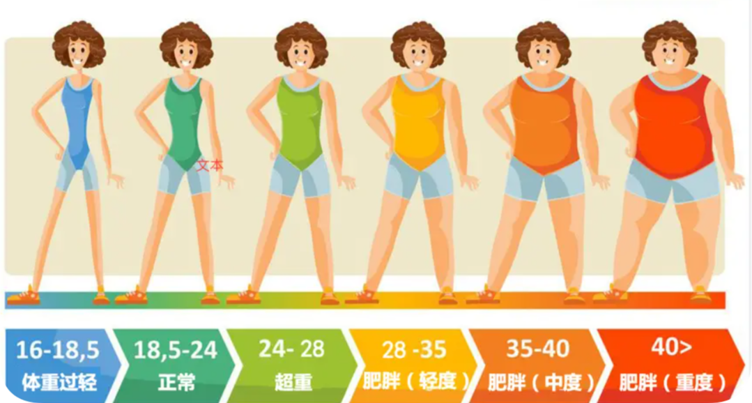 辽宁一景区，BMI在28以上的肥胖人士可免费爬山！