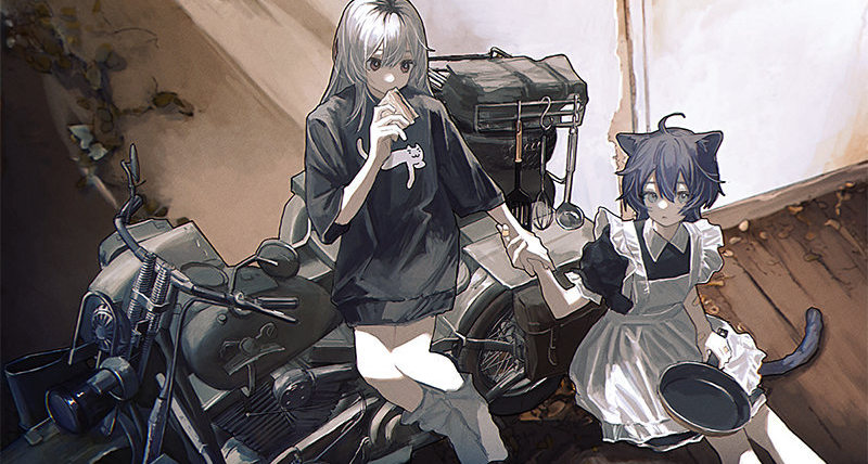 人類消失後的世界，只剩下了貓和百合