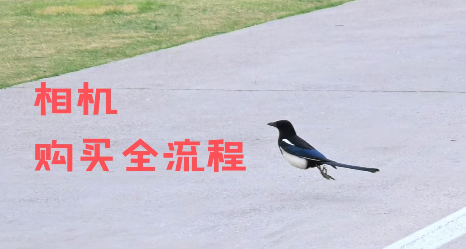 Re:從零開始的買相機經歷