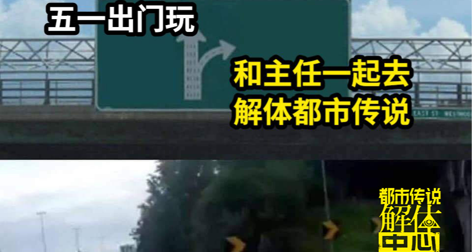 五一假期快乐！分享一张主任的手机壁纸给大家！