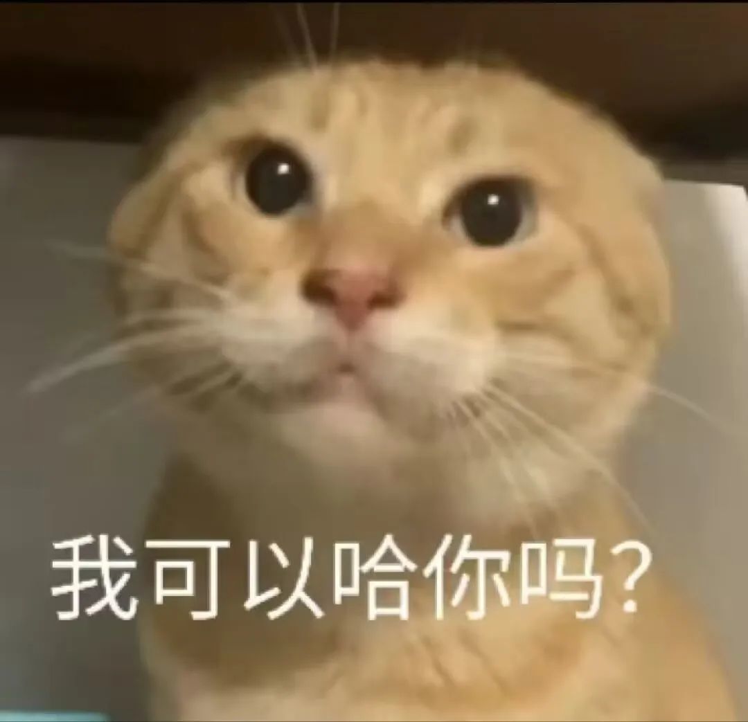 “哈基米”变成这个B样，每个网友都有责任