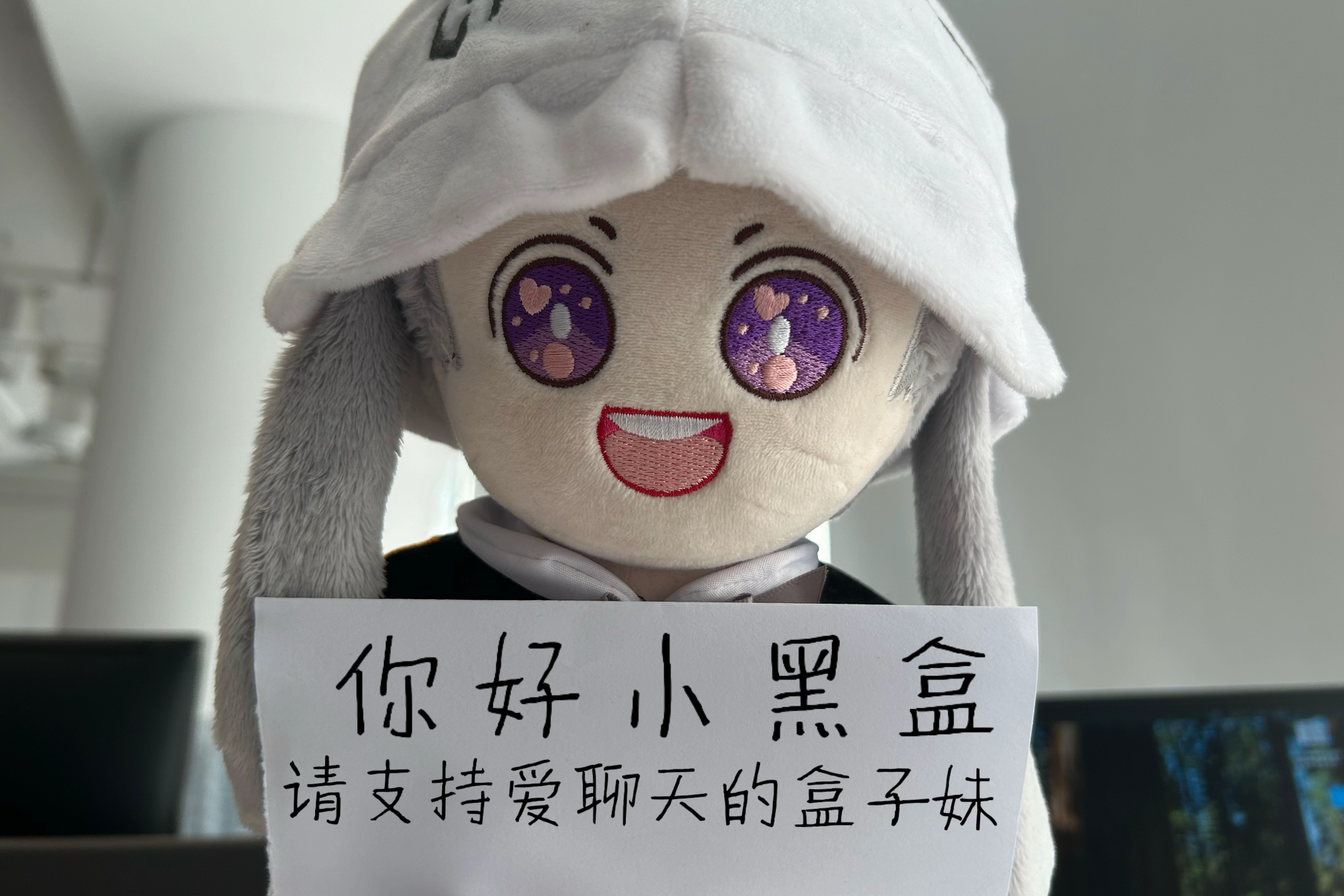 你是谁？请支持爱聊天的盒子妹