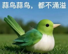 15年前的破电动车情侣结婚了，看了他们的现状这谁能不破防？