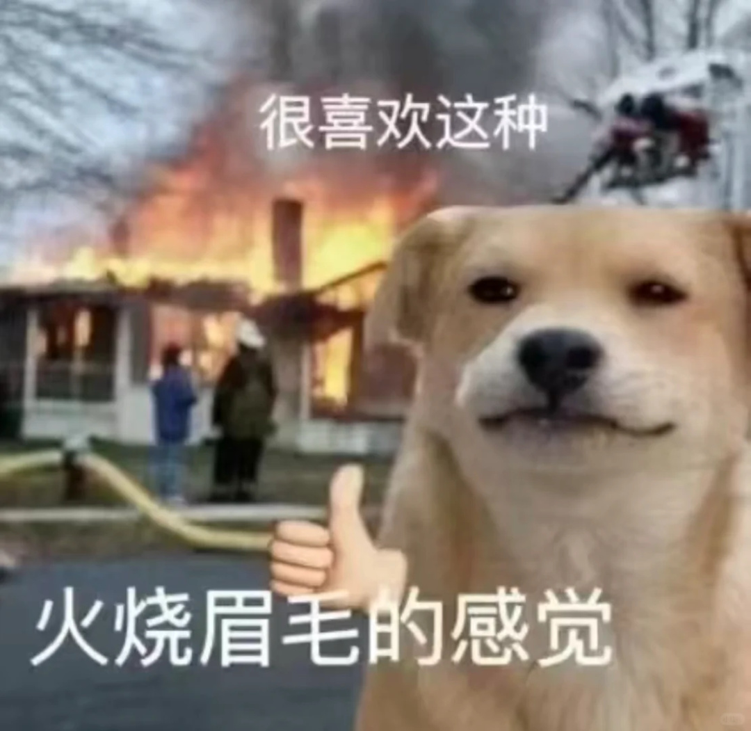 拼多多净利润缩水，结果我发现不一定是坏事。。。