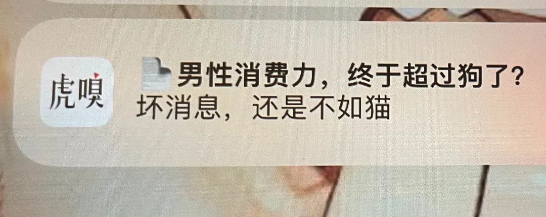 1亿直男也救不了虎扑。