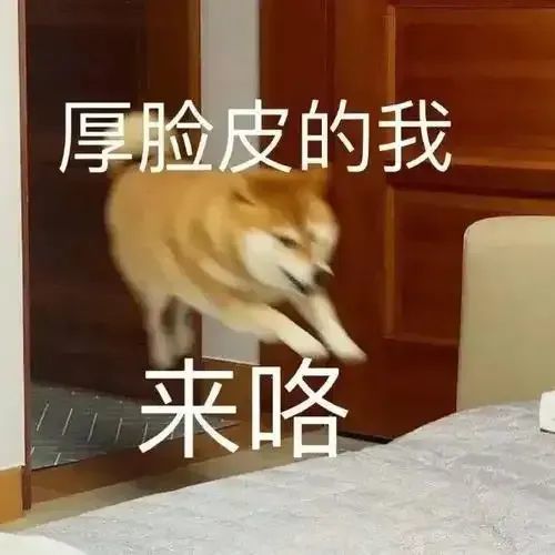 女拳擊手教猩猩抽菸，看到這個回應網友都繃不住了