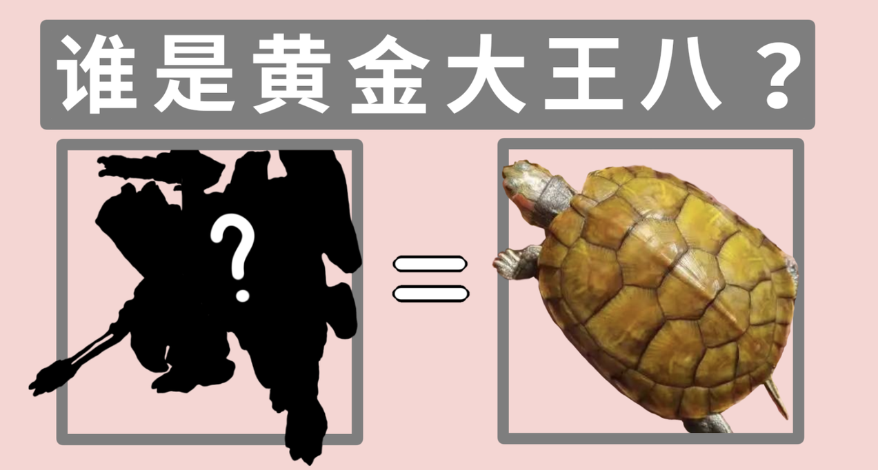 黄金大王八是谁？《解限机》里的动物世界