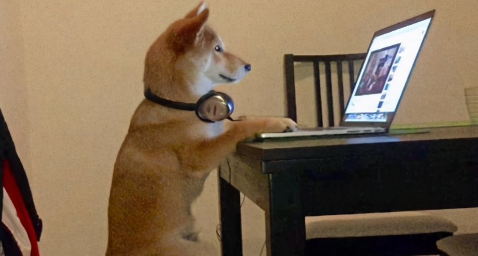 【2025年7月】最新笔记本端CPU/显卡天梯图以及命名含义解读