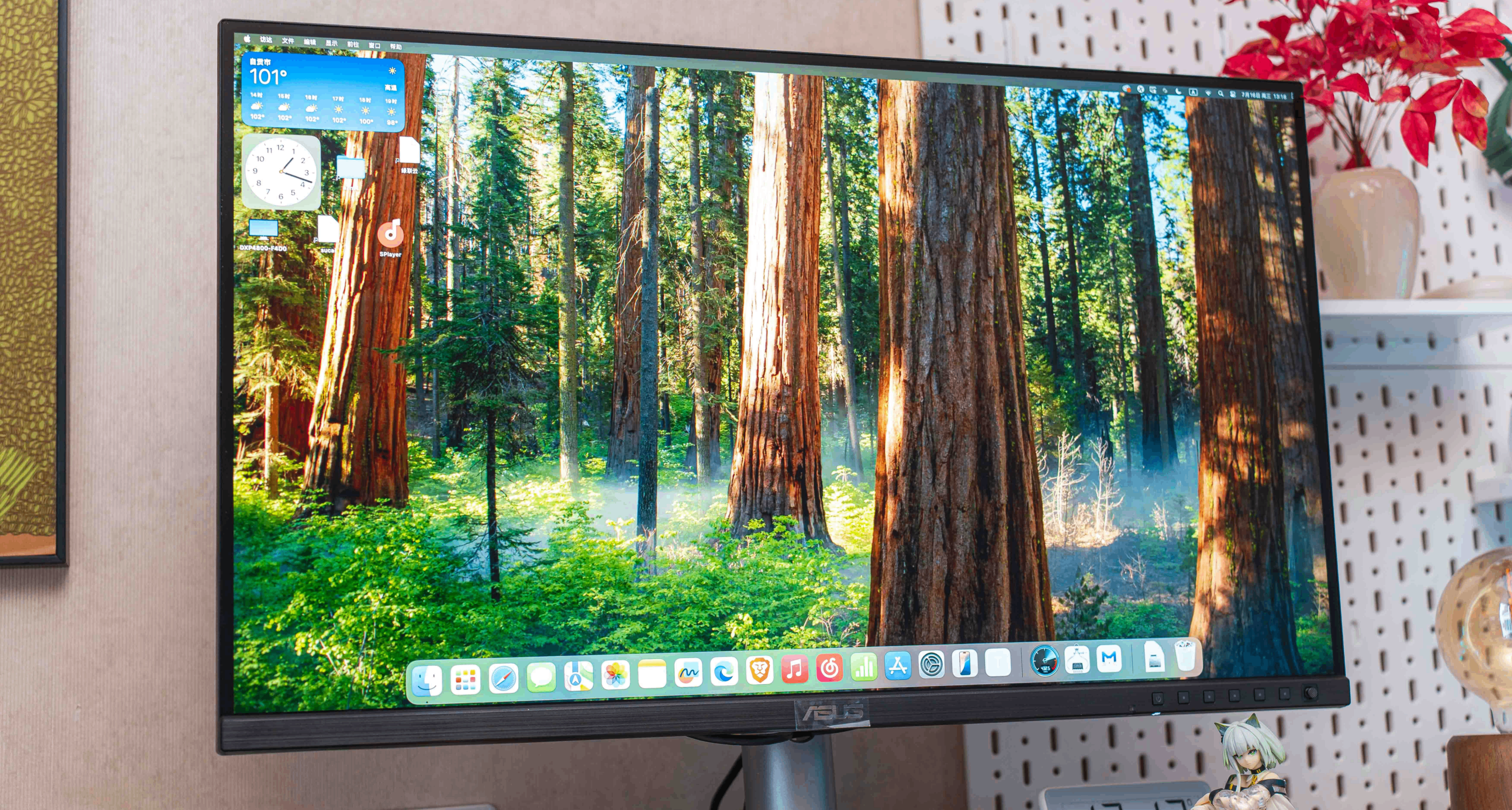 Studio Display最強對手：華碩 ProArt 創夢 5K顯示器