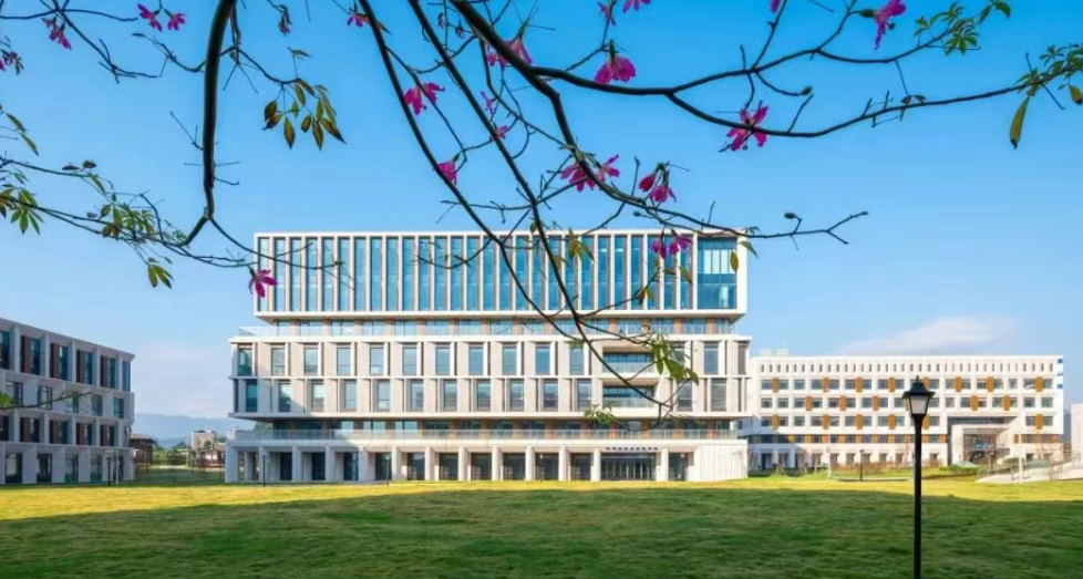 不输985，这些新型研究型大学，分数直逼C9，为何备受青睐！