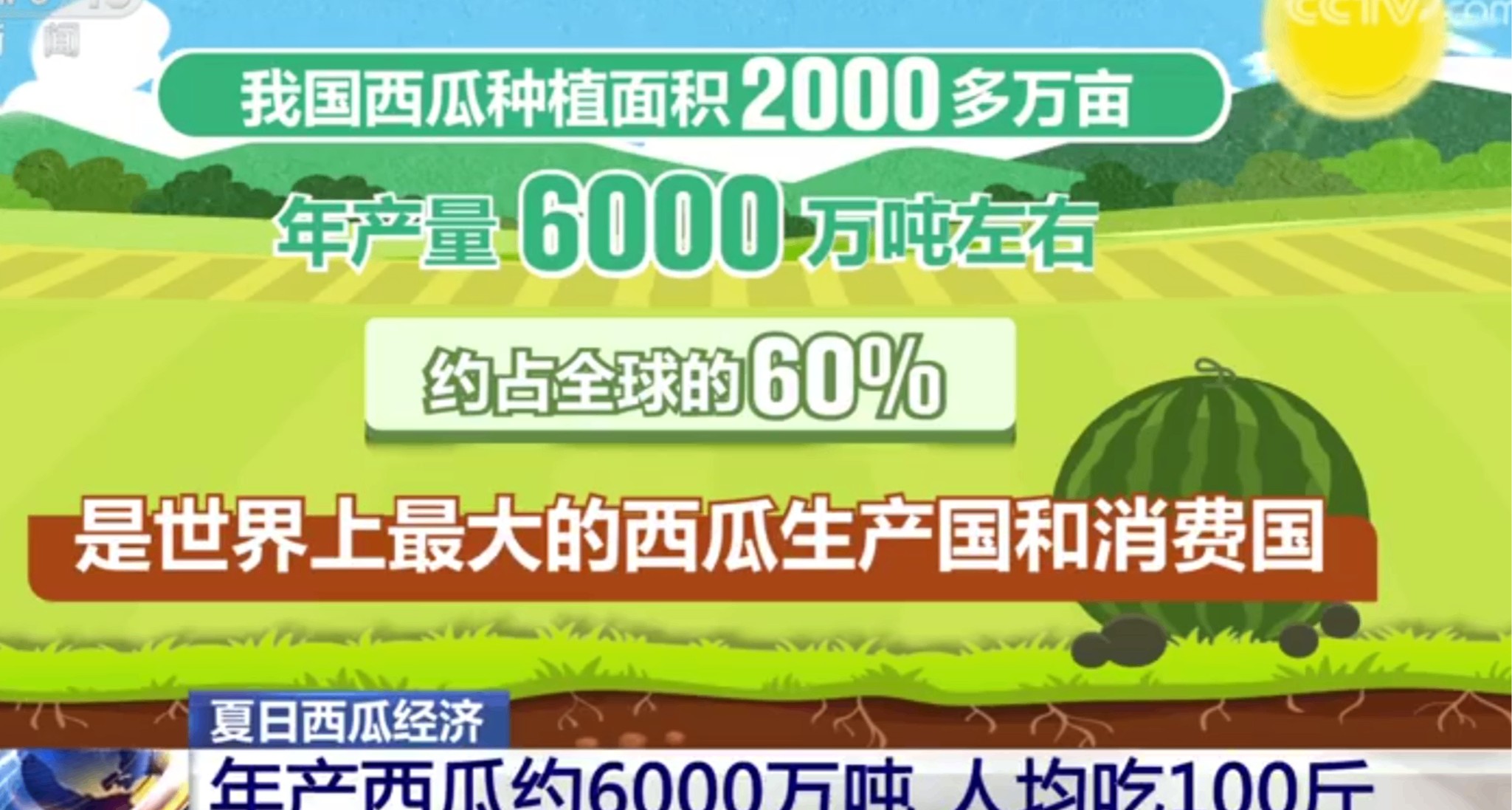 今天你喫瓜了嗎？我國平均每人每年消耗100斤西瓜！