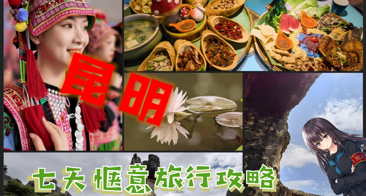 春城昆明夏季旅行攻略【6000字】