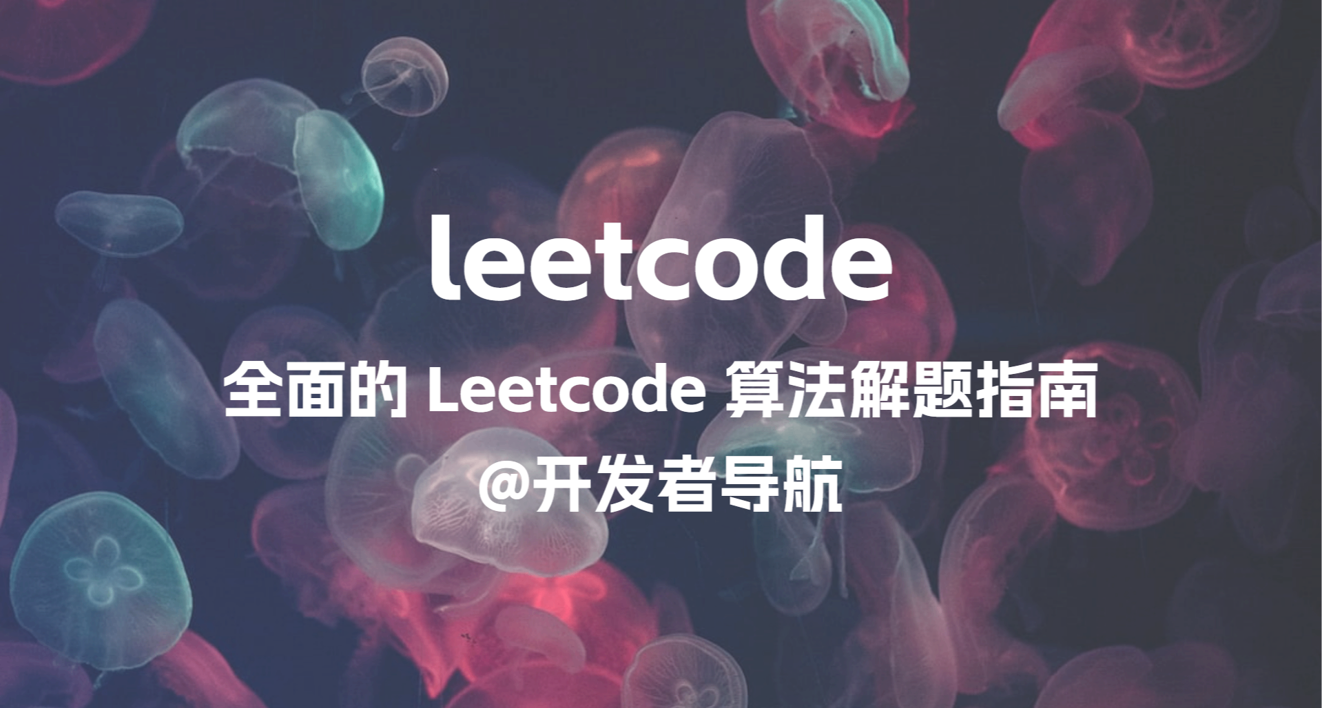 斬獲34.5k⭐的 Leetcode 算法解題指南！
