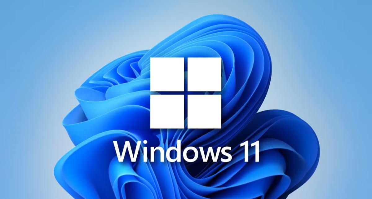 须知！最新的Win11安全更新可能让你的硬盘变砖！