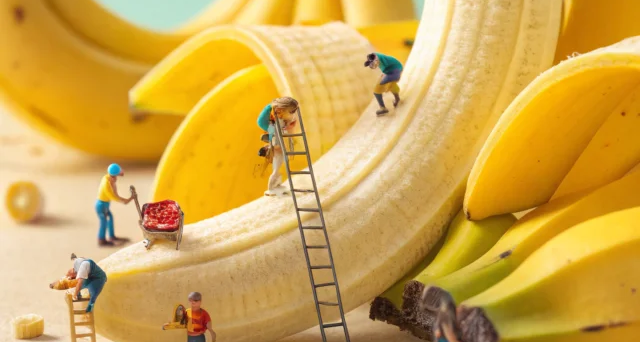 香蕉🍌巴呐呐？你跟我说香蕉是草？确定不是树🌳？