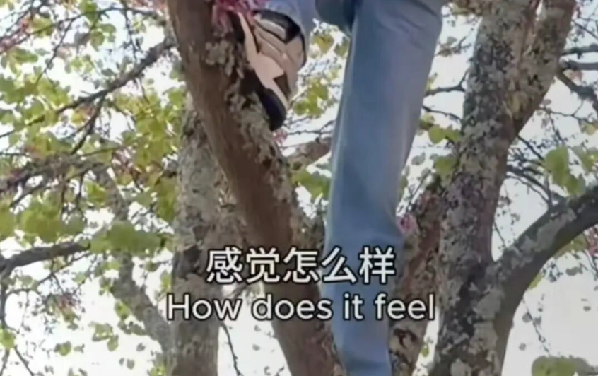 娛樂圈初代斬男女神最新上樹照片……