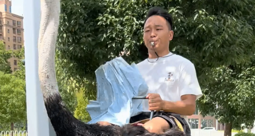 真新能源！雲南男子騎鴕鳥上路：速度 70 邁，能跑 2 個小時左右
