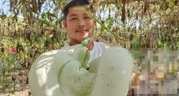 山东男子种 “异形葫芦” ，单只最贵卖 28888 元，年收入 50 万