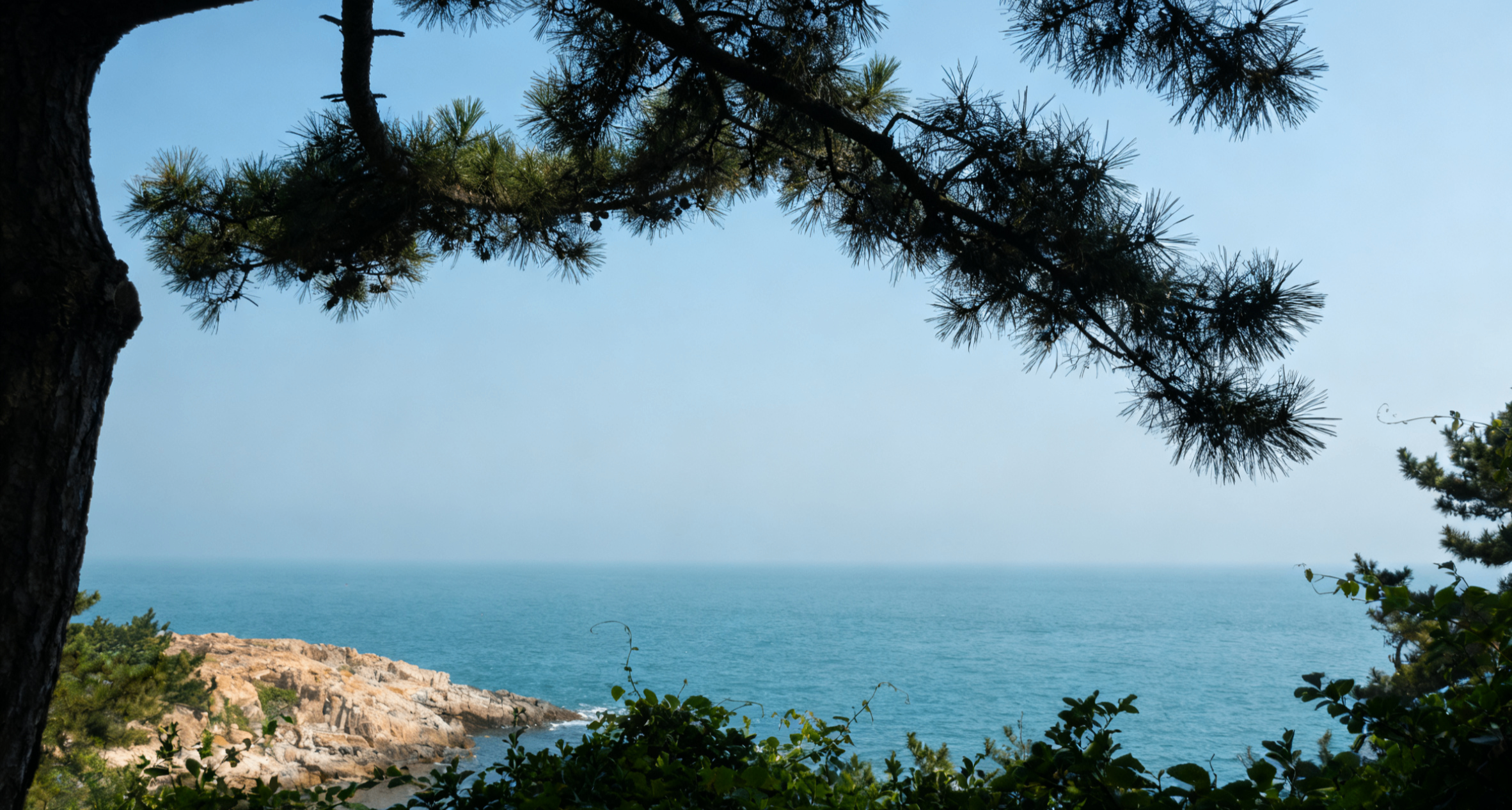 让全网老婆争相夹子的