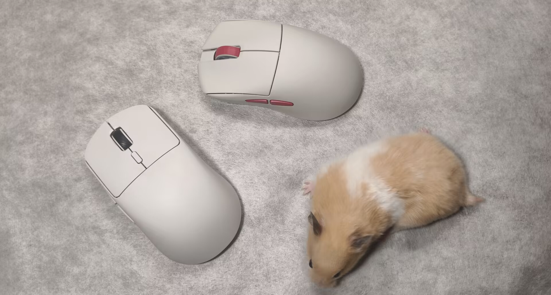 鼠標怎麼買？9月份+開學季最具性價比鼠標推薦