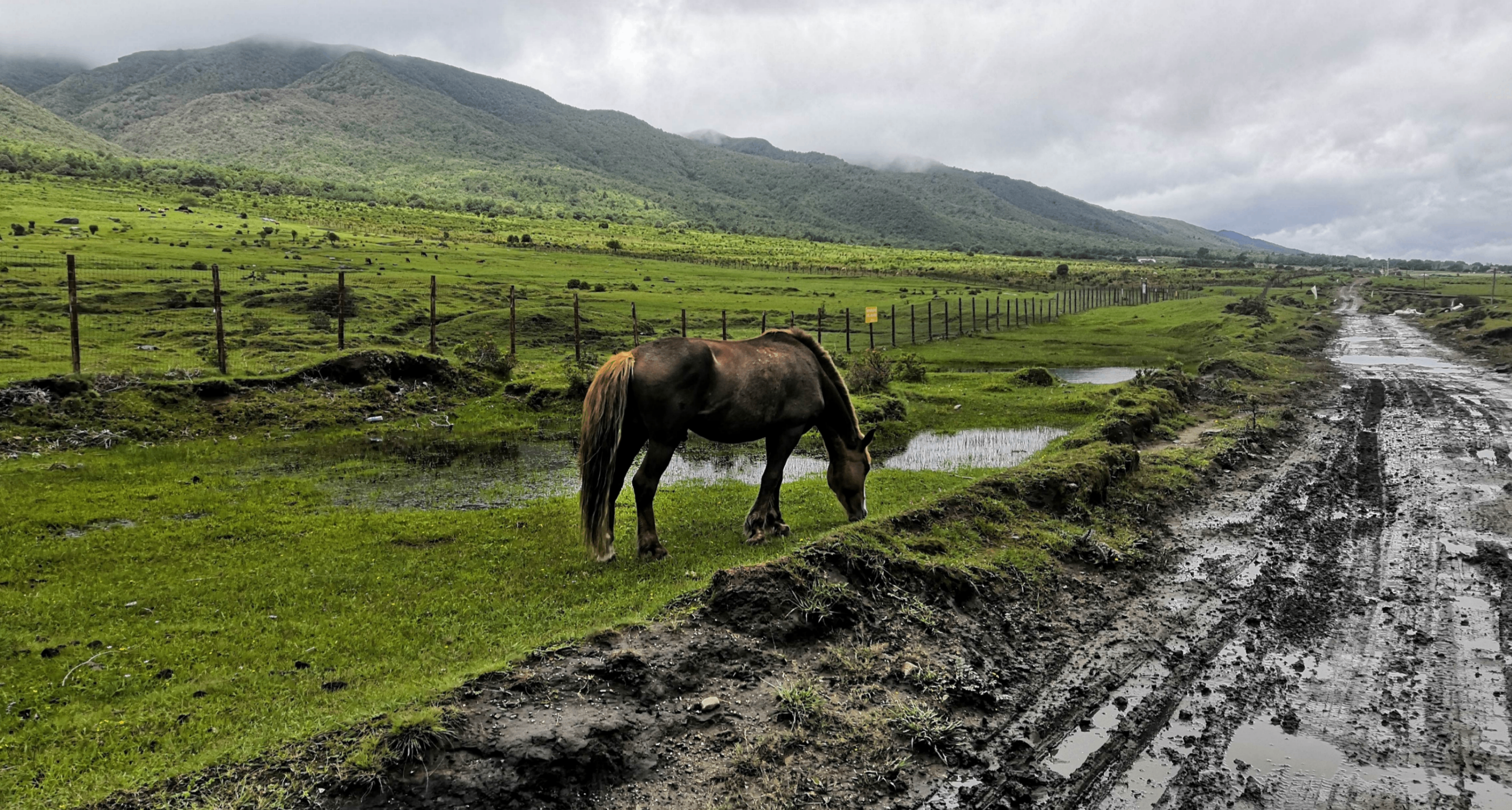 我们为什么需要理想主义者