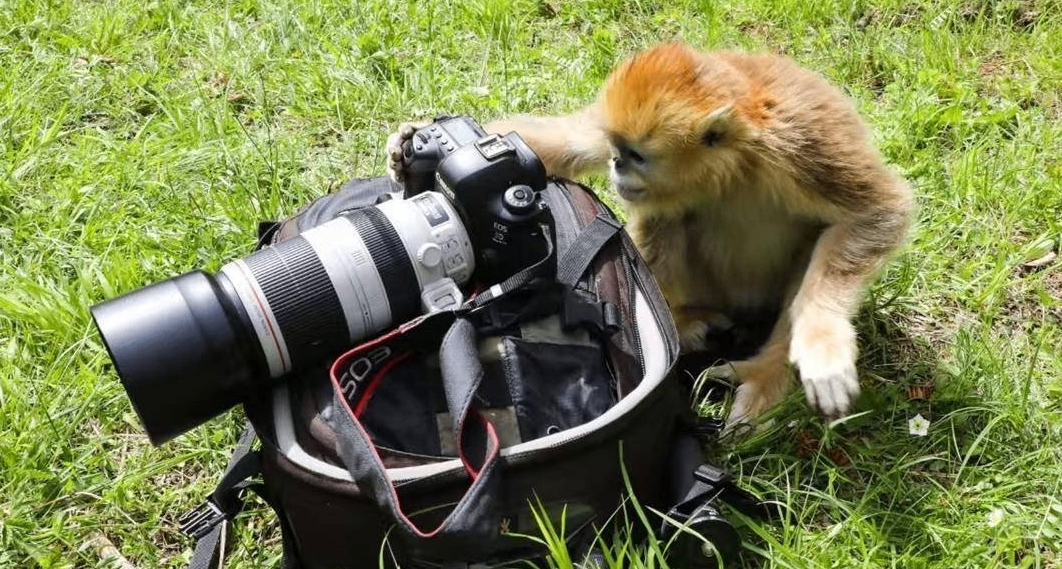 新手/进阶适用：写给摄影爱好者朋友的终极购机指南