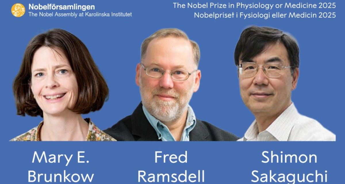 一文看懂諾獎！2025諾貝爾生理學或醫學獎解讀