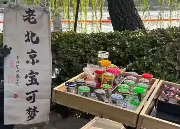 女子夜市花60玩到爽，原来北方人真的什么都这么大啊