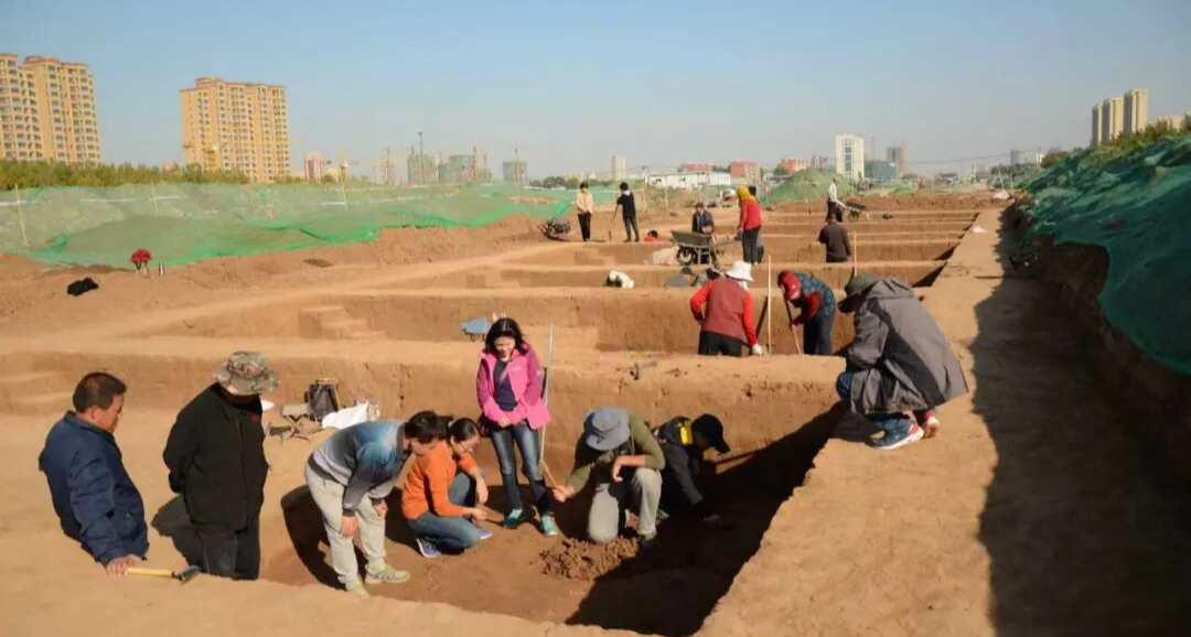 重大发现！山东现 9000 年前炭化小豆，早黄帝 4000 年