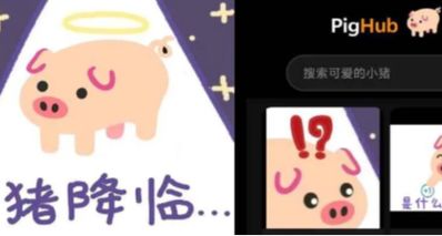 降臨QQ水羣的“豬鼻表情包”,快要把二次元都拱翻了
