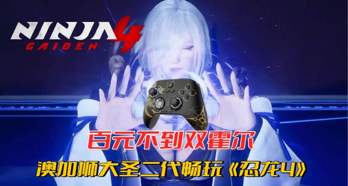 用手柄玩《忍龍 4》簡直不要太爽了！但爲什麼叫好不賣座呢？