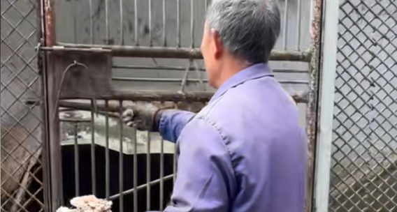 凯里动物园园长劝大家不要打钱了，所有费用将用于动物救助