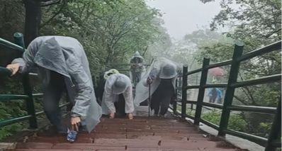 四川一景區聽勸播植物大戰殭屍配樂,景區回應:想給大家帶來樂趣